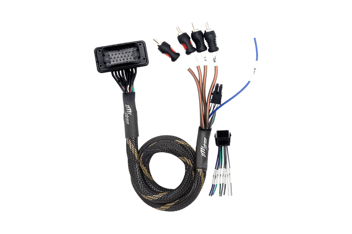 RZR® Pro Series Ride Command Front & Rear RCA Output + Speaker Wire & Remote | UTVS - PRO - RC - RCA - OUT - Rugged Terrain
