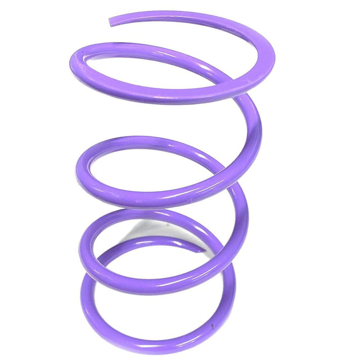 Aftermarket Assassins RS1 Secondary Springs for 2016 - 20 RZR Turbo - Rugged Terrain
