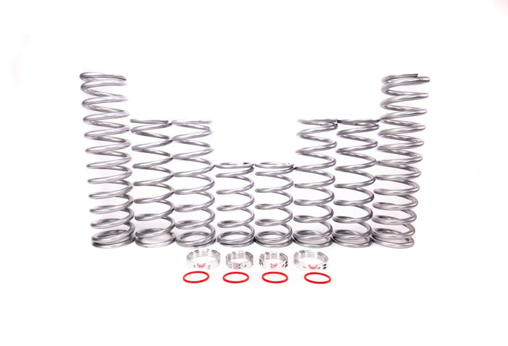 Shock Therapy Dual Rate Spring Kit (DRS) for Polaris RS1 - Rugged Terrain