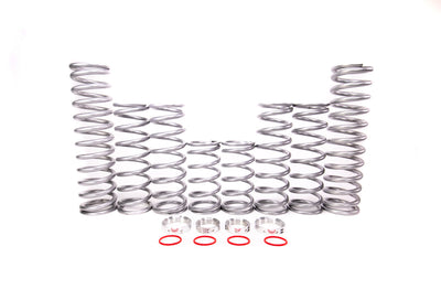 Shock Therapy Dual Rate Spring Kit (DRS) | Polaris RS1