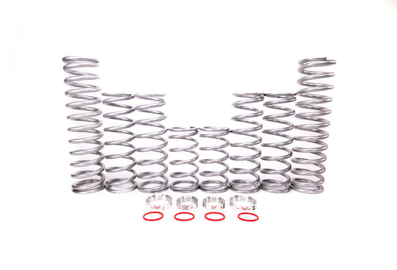 Shock Therapy Dual Rate Spring Kit (DRS) | Polaris RS1