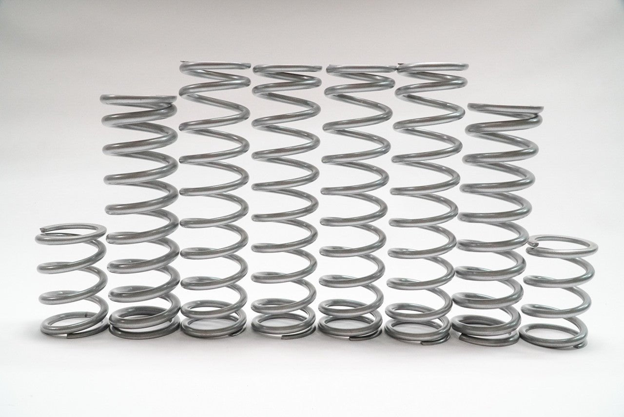 Shock Therapy Dual Rate Spring Kit (DRS) for Polaris RZR Pro R – Rugged ...