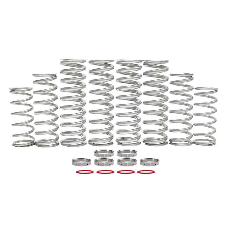 Shock Therapy Dual Rate Spring Kit (DRS) | Polaris RZR Pro XP