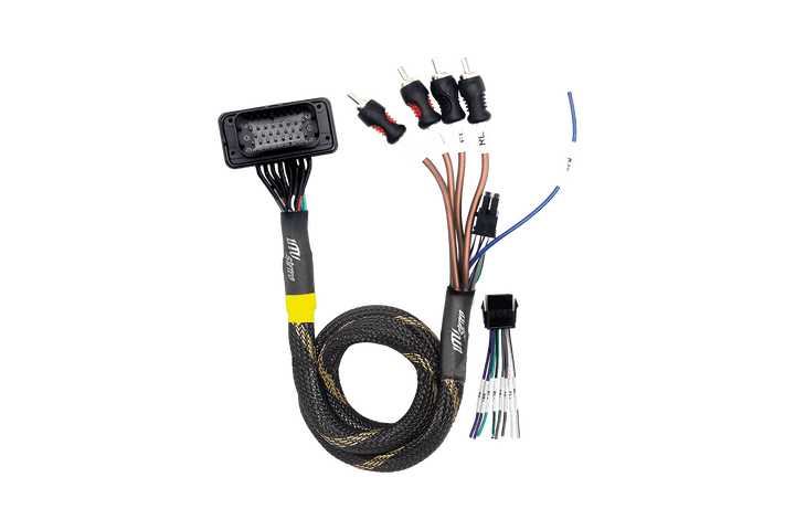 JBL® RCA Output Harness | UTVS - JBL - RC - RCA - OUT - Rugged Terrain